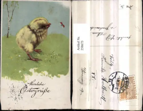 258673,Ostern Küken Marienkäfer Wiese Birke