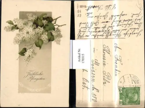 170315,Pfingsten Präge AK Blumen Zweige