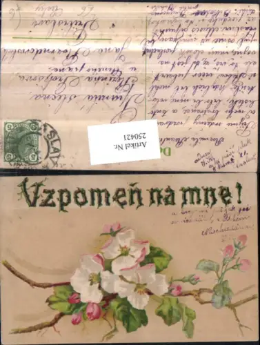 250421,Präge Litho AK Blütenzweig Blüten Blumen Knospen