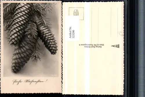 323290,Weihnachten Tannenzapfen Zapfen