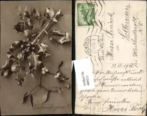 409211,Weihnachten Stechpalme Zweig