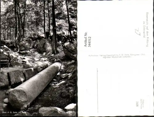 344512,Riesensäule auf dem Felsberg im Odenwald