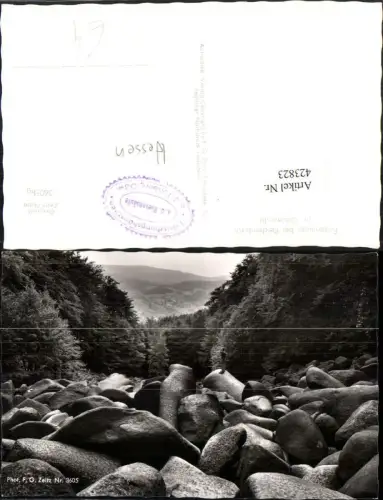 423823,Felsenmeer bei Reichenbach im Odenwald Partie