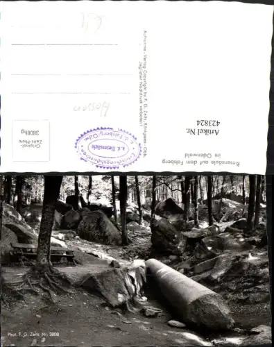 423824,Riesensäule auf dem Felsberg im Odenwald b. Lautertal