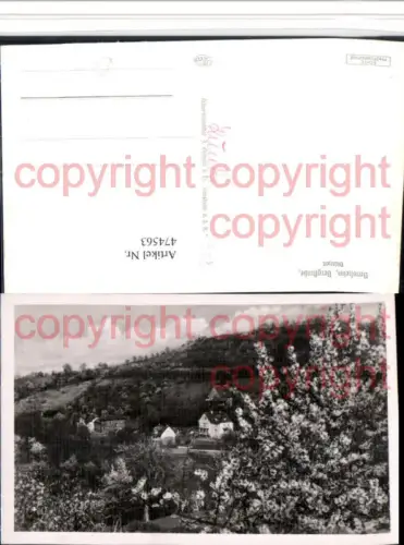 474563,Bensheim an d. Bergstraße Blütezeit Baumblüte