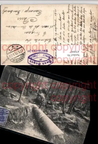 476842,Felsberg im Odenwald b. Lautertal Riesensäule Wald