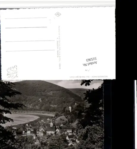 515363,Neckarsteinach Totale