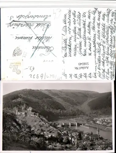 516543,Hirschhorn am Neckar Totale