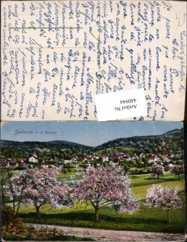 440944,Seeheim an d. Bergstraße Totale Baumblüte