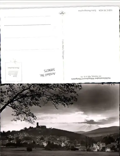 509675,Königstein im Taunus Totale m. Ruine