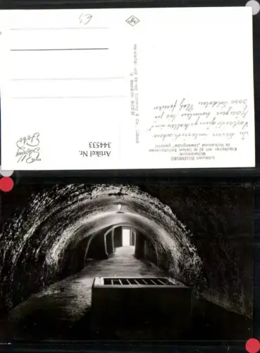 344533,Dillenburg Wilhelmsturm Krautkeller Schlossbrunnen Löwengrube