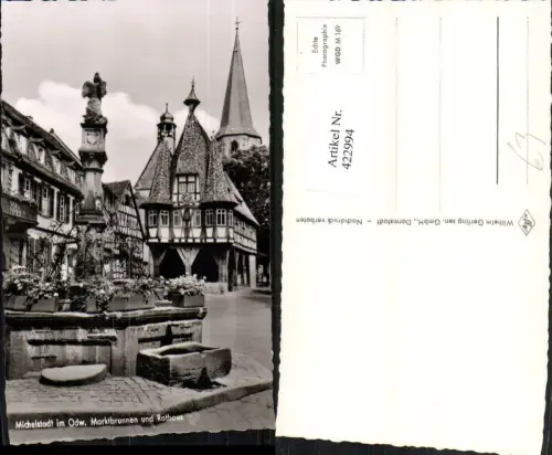 422994,Michelstadt im Odenwald Marktbrunnen Brunnen u. Rathaus