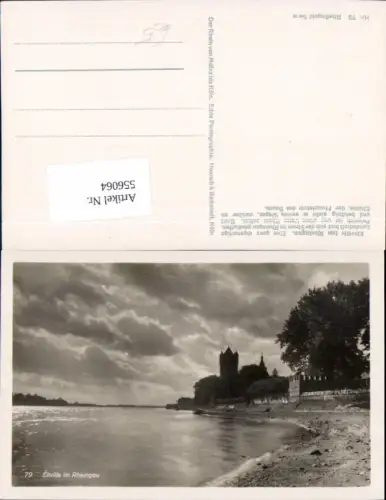 556064,tolle Foto-AK Eltville am Rhein Rheingau Taunus Kreis