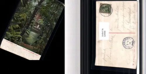 529990,Frankfurt a. Main Palmenhaus v. Wasserfall gesehen pub Dr. Trenkler Co