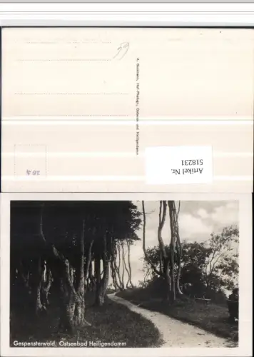 518231,Bad Doberan Ostseebad Heiligendamm Gespensterwald Wegpartie