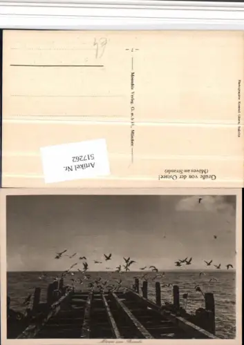 517262,Ostsee Sassnitz Möwen am Strande Steg