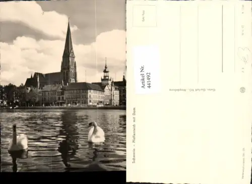 441492,Schwerin Pfaffenteich m. Dom Kirche Schwäne