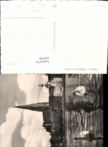 458546,Schwerin Pfaffenteich m. Dom Kirche Schwäne