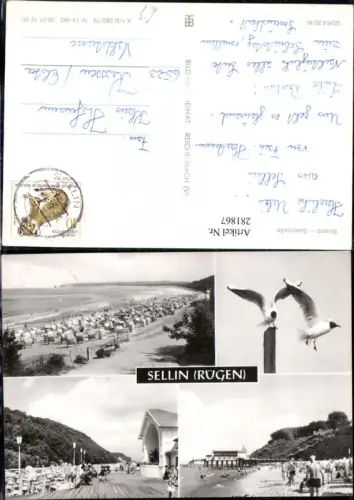 281867,Sellin auf Rügen Strand Seebrücke Möwen Mehrbildkarte