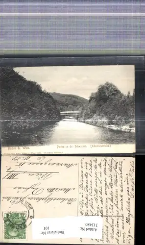 313480,Baden b. Wien Partie a. d. Schwechat Albrechtsbrücke