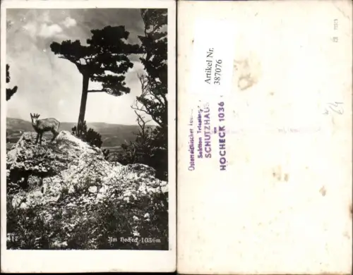 387076,Am Hocheck b. Furth an d. Triesting Gams