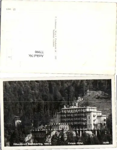 77990,Semmering Palace Hotel pub Ledermann 29280