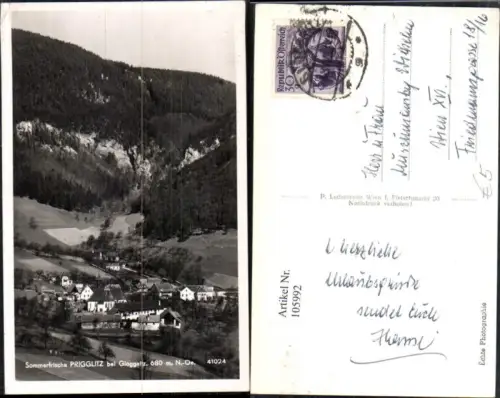 105992,Sommerfrische Prigglitz bei Gloggnitz Totale