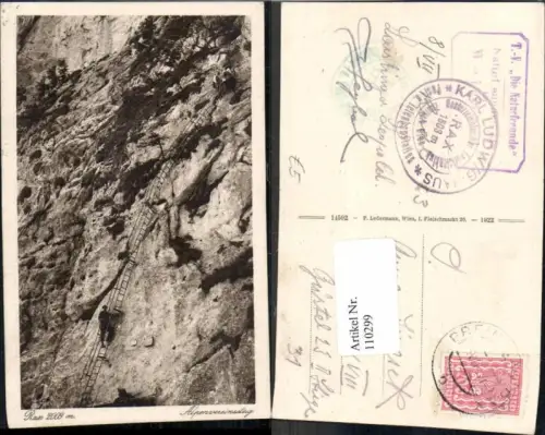 110299,Rax Reichenau Alpenrosensteig Leiter Kletterer Bergsteiger