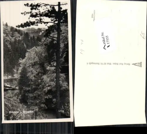 117555,Höllental Rax Reichenau Hirschwang Nasswald