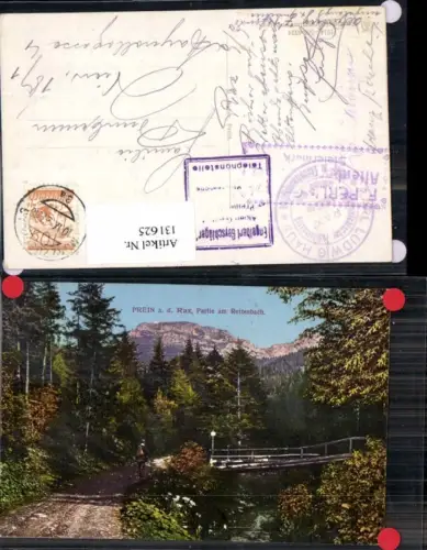 131625,Prein a.d. Rax Partie am Rettenbach seltene AK 1925