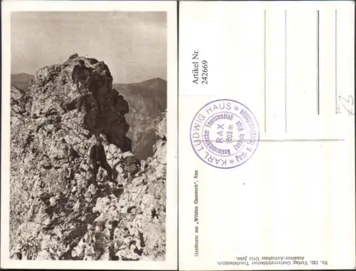 242669,Rax Gratturm am Wilden Gamseck Bergkulisse b. Reichenau