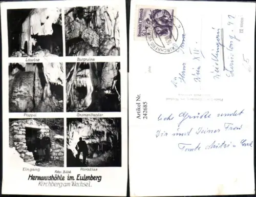 242685,Hermannshöhle im Eulenberg b. Kirchberg am Wechsel Lawine Burgruine Pappel Mehrbildkarte