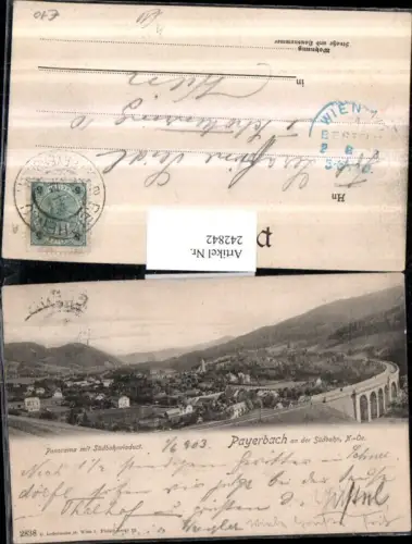 242842,Payerbach an d. Südbahn Totale Panorama m. Südbahnviadukt
