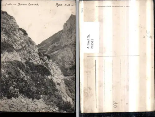 288515,Rax Partie am Zahmen Gamseck Bergsteiger b. Reichenau