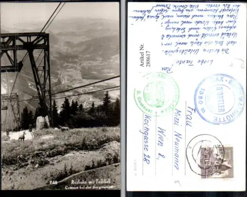 288617,Raxbahn Seilbahn m. Talblick Reichenau Gemsen b. d. Bergstation