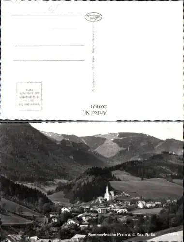 293824,Prein an d. Rax Totale Bergkulisse