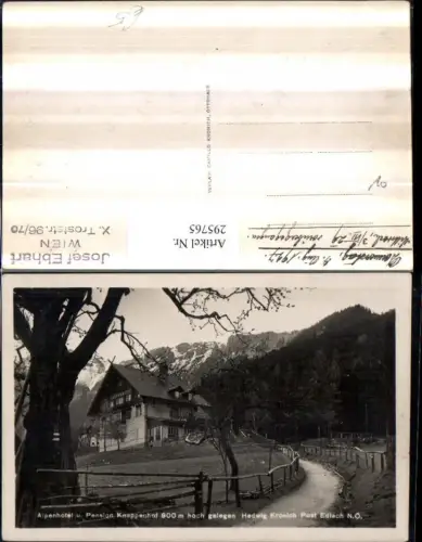 295765,Alpenhotel u. Pension Knappenhof b. Edlach Reichenau