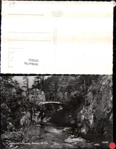 297025,Höllental Hochsteg-Brücke b. Naßwald Schwarzau