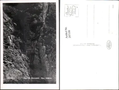 297199,Rax Zahmes Gamseck Leiter b. Reichenau