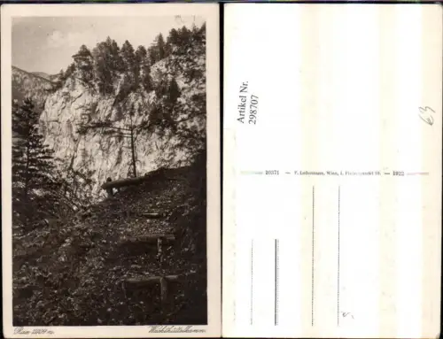 298707,Rax Wachthüttelkamm Partie b. Reichenau