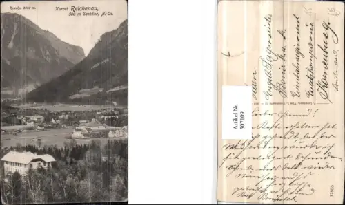 307109,Reichenau Teilansicht m. Raxalpe