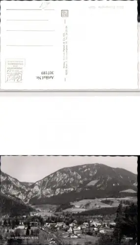 307189,Reichenau an d. Rax Teilansicht Bergkulisse