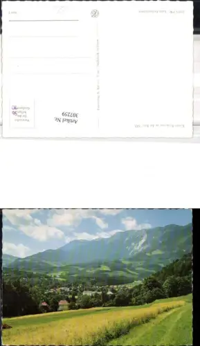 307259,Reichenau an d. Rax Teilansicht Bergkulisse