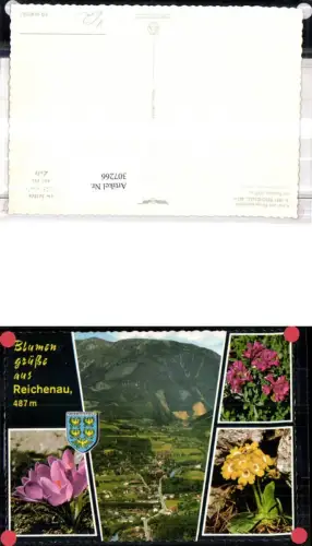307266,Reichenau Totale m. Raxalpe Bergkulisse Krokus Primel Mehrbildkarte pub Alpine Luftbild 51927