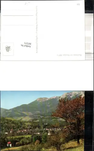 307271,Reichenau Totale m. Raxalpe Bergkulisse