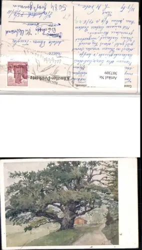 307309,Künstler AK Alex Fischer Schneedörfl b. Reichenau Tausendjährige Eiche Baum