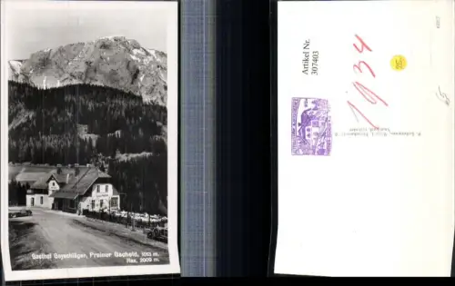 307403,Preiner Gscheid Gasthof Geyschläger b. Prein m. Rax Bergkulisse