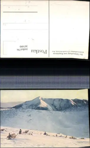 307490,Schneeberg vom Raxplateau b. Reichenau Bergkulisse Winterbild