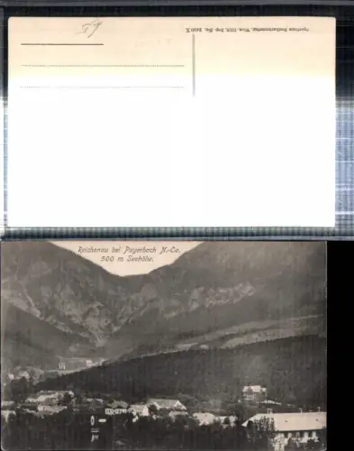 308694,Reichenau an d. Rax b. Payerbach Teilansicht