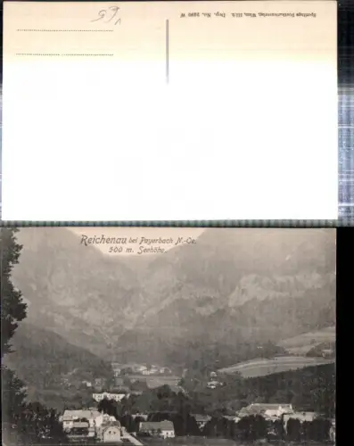 308697,Reichenau an d. Rax b. Payerbach Teilansicht pub Sperling 2490W